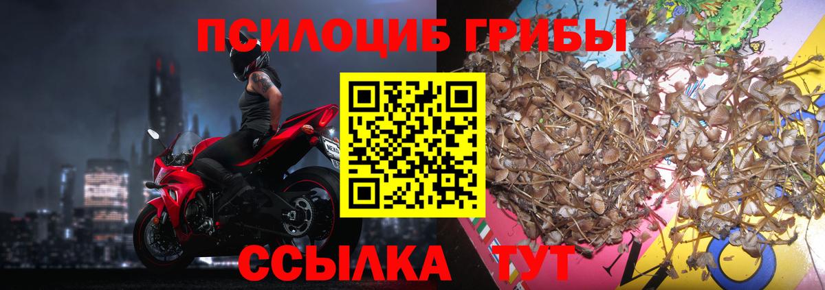 Бугуруслан  Галлюциногенные грибы прущие грибы  Вход с VPN 